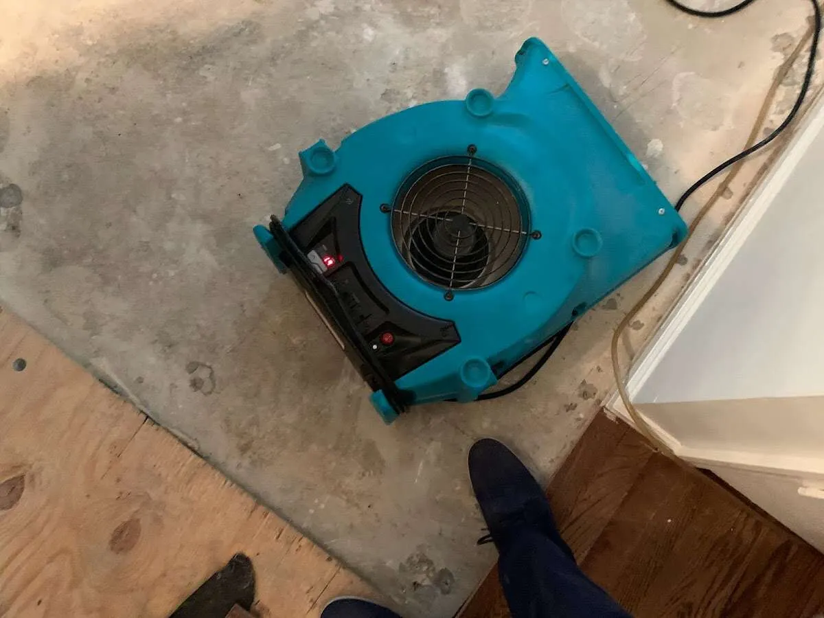Air mover drying subfloor during Leak Detection & Repair in Jonesborough